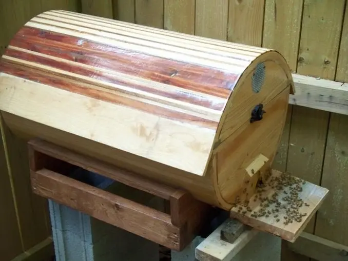 Unveiling the Elegance - Strip Top Bar Hive