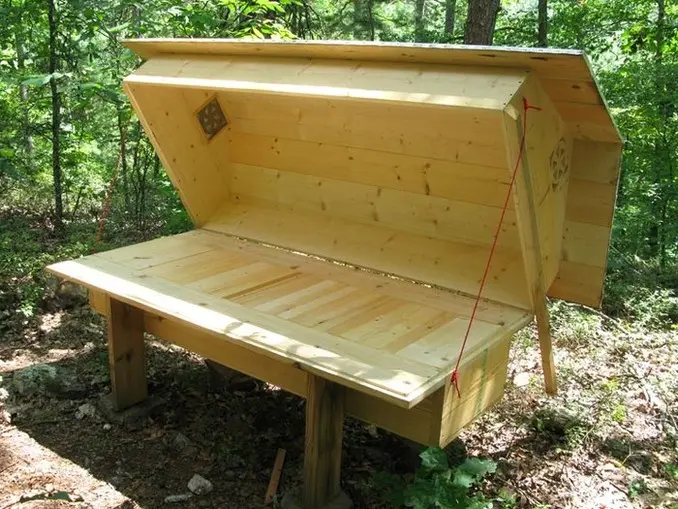 Dive into Comfort - The Buzz on Bee Hive Beds!