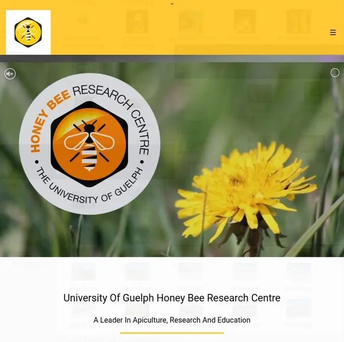 Unleash the Bee Magic at Guelph Bees!