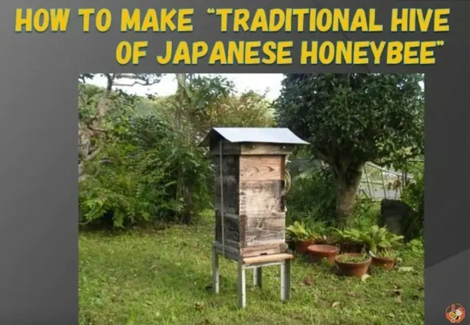 Exploring Japanese Beekeeping