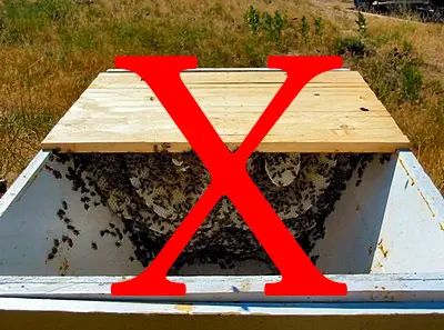 The Real Buzz About Natural Beekeeping