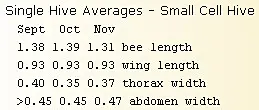 small cell measurements